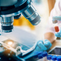 Everything You Need to Know About Glycated Hemoglobin Tests (HbA1c)